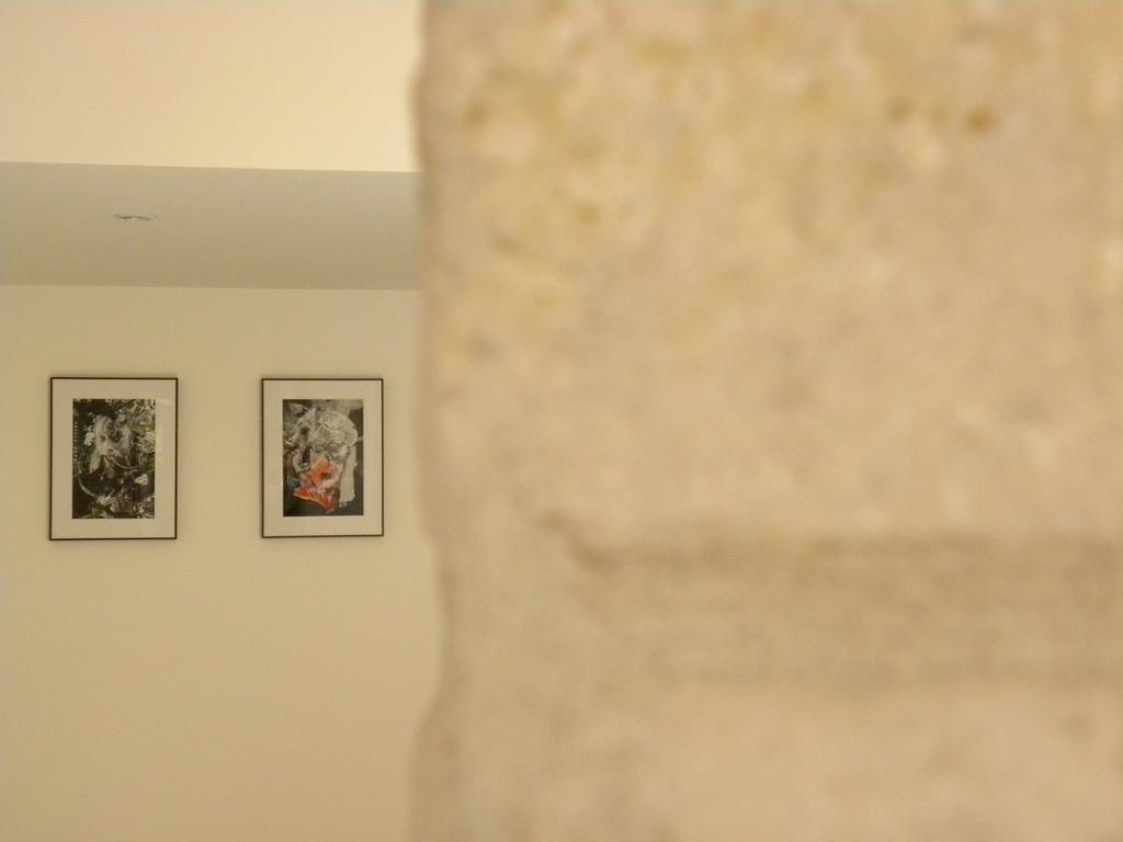 La Terrasse Du Marche Aux Fleurs Apartment Montpellier Cameră foto